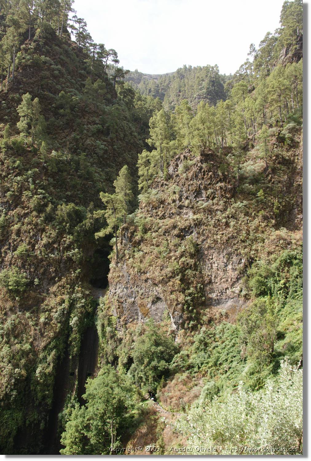 Nacientes_116.jpg