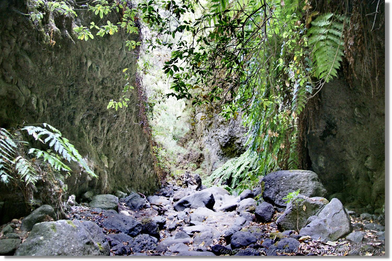 Nacientes_144.jpg