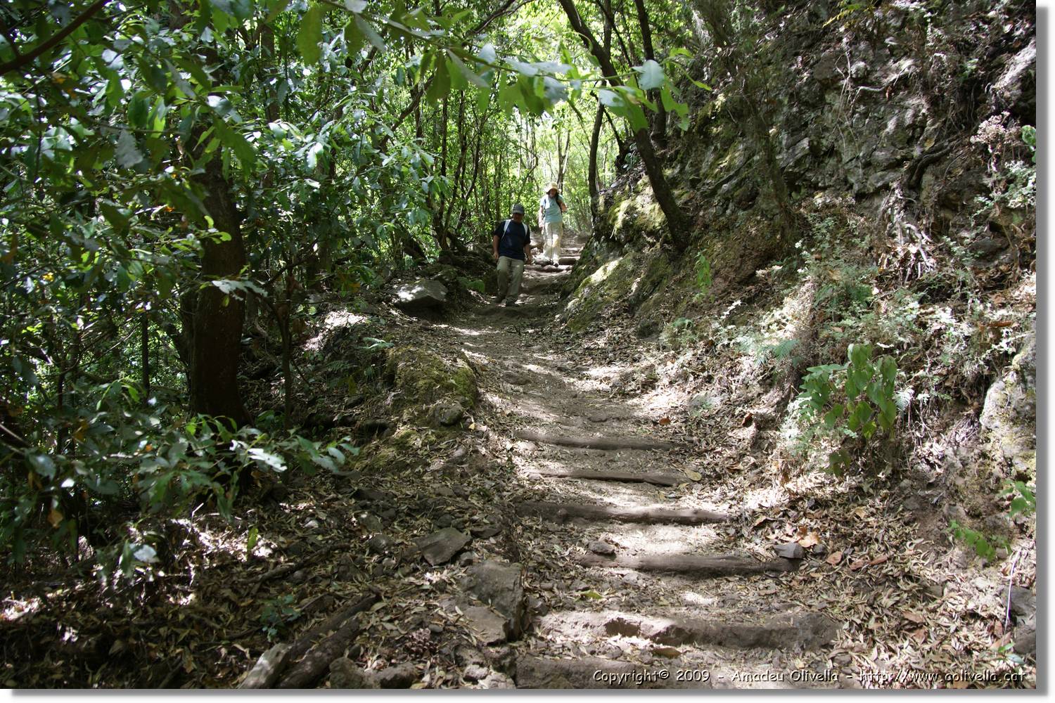 Nacientes_157.jpg
