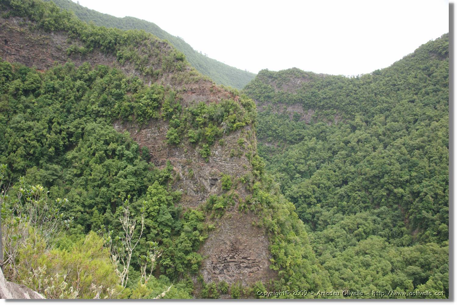 Nacientes_195.jpg