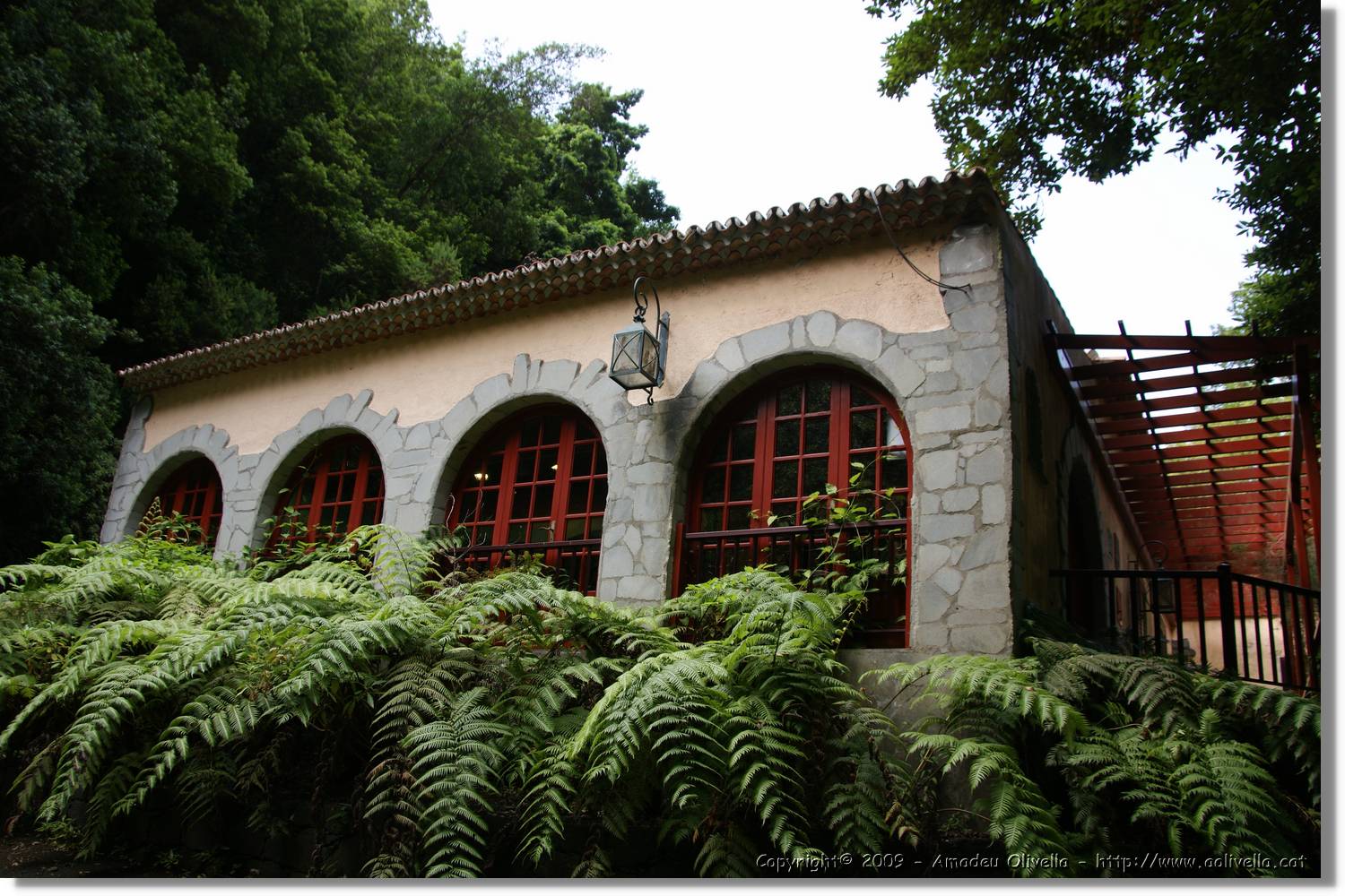 Nacientes_230.jpg