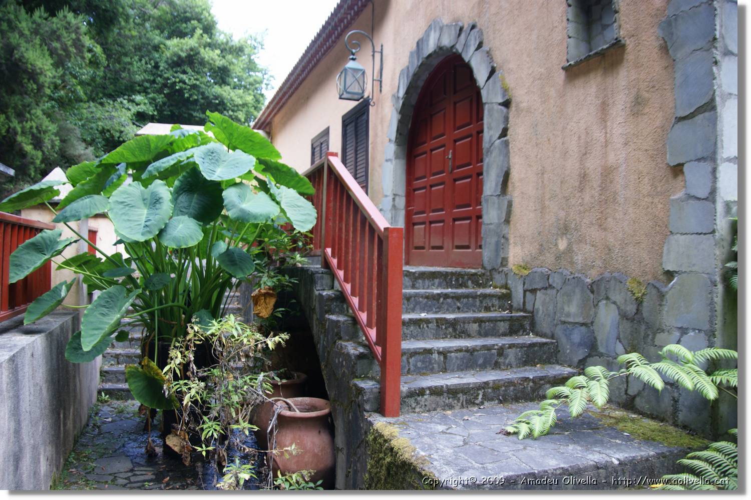 Nacientes_231.jpg