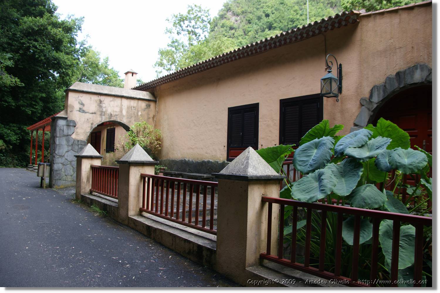 Nacientes_232.jpg