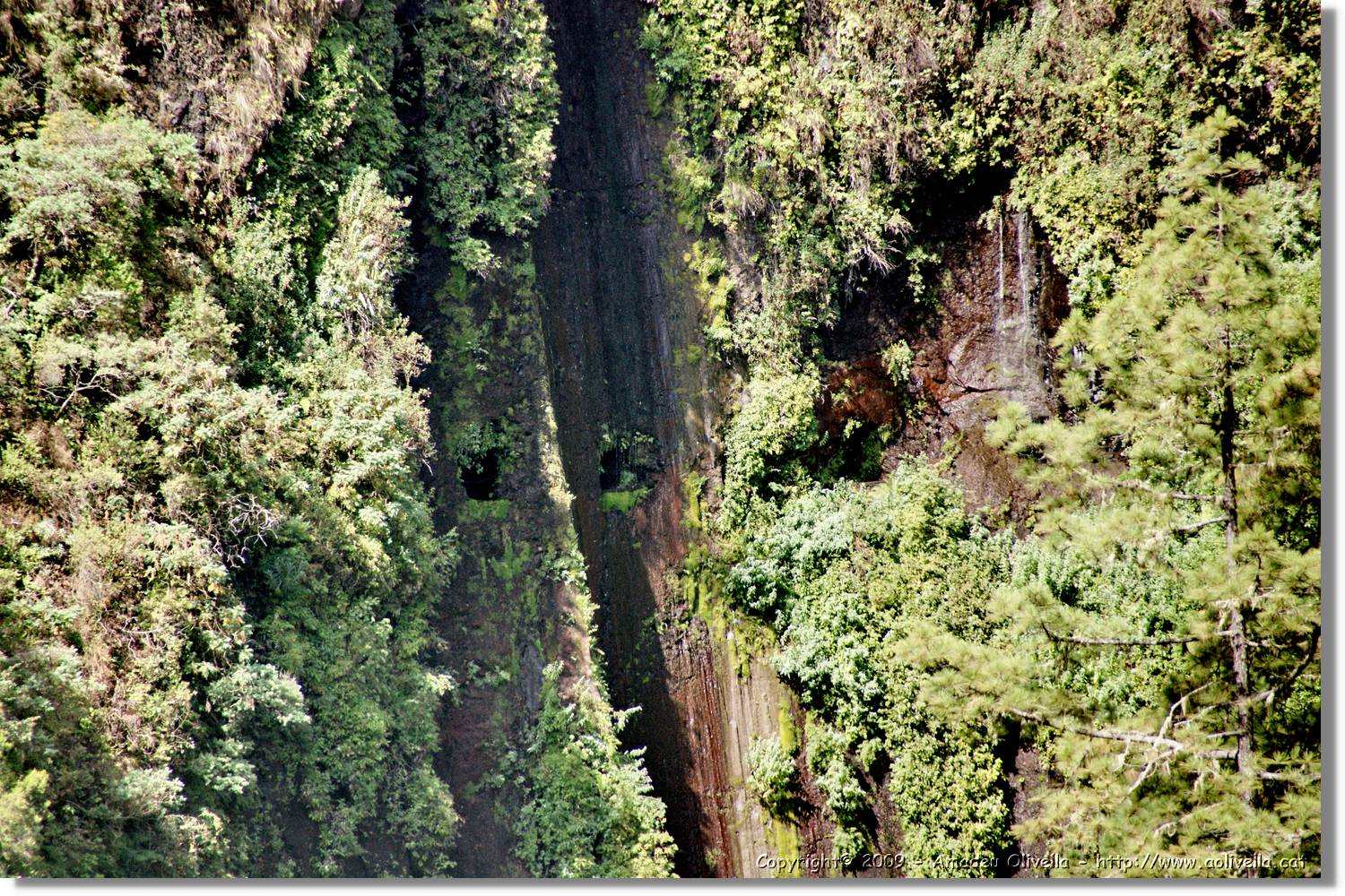 Nacientes_268.jpg