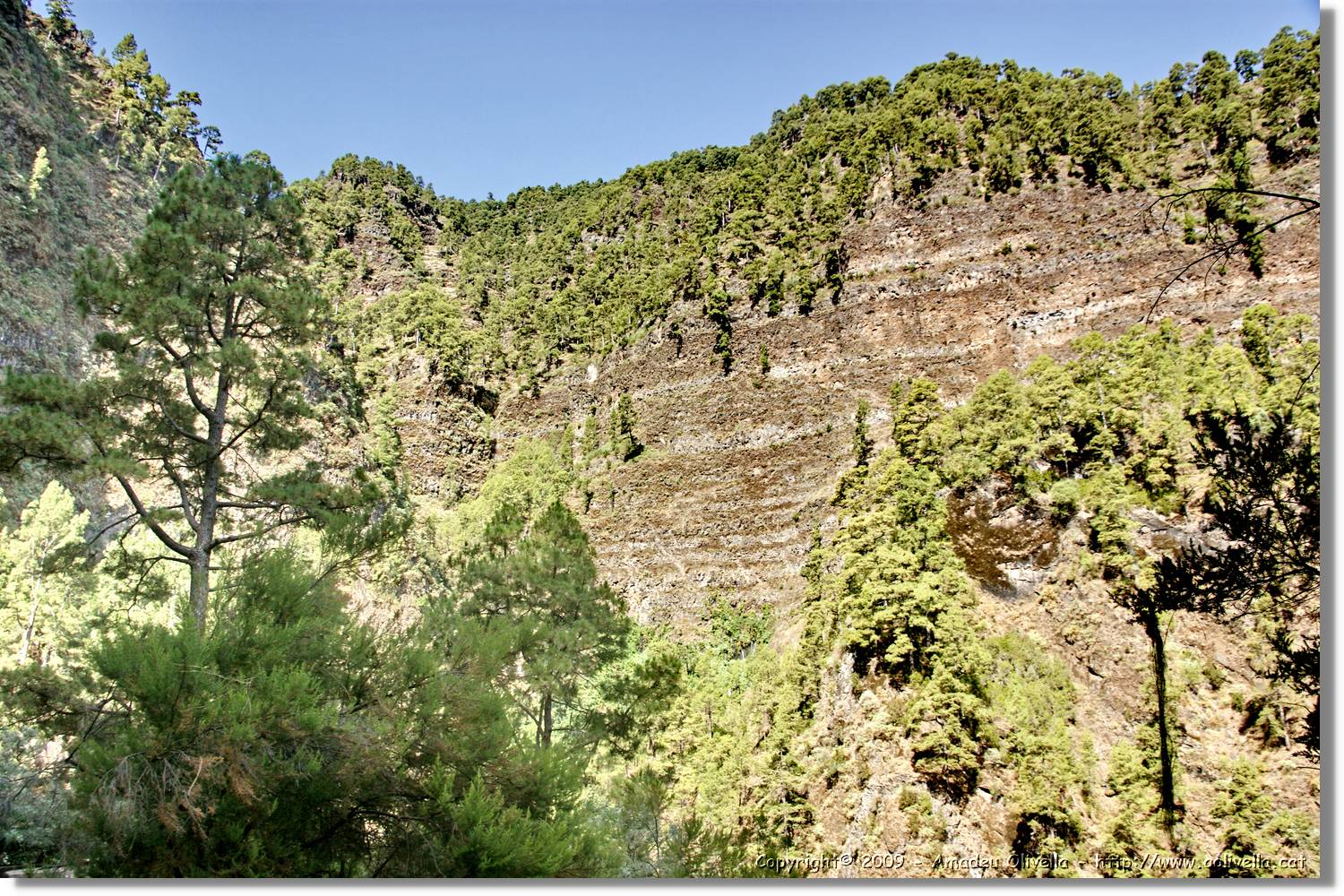 Nacientes_270.jpg