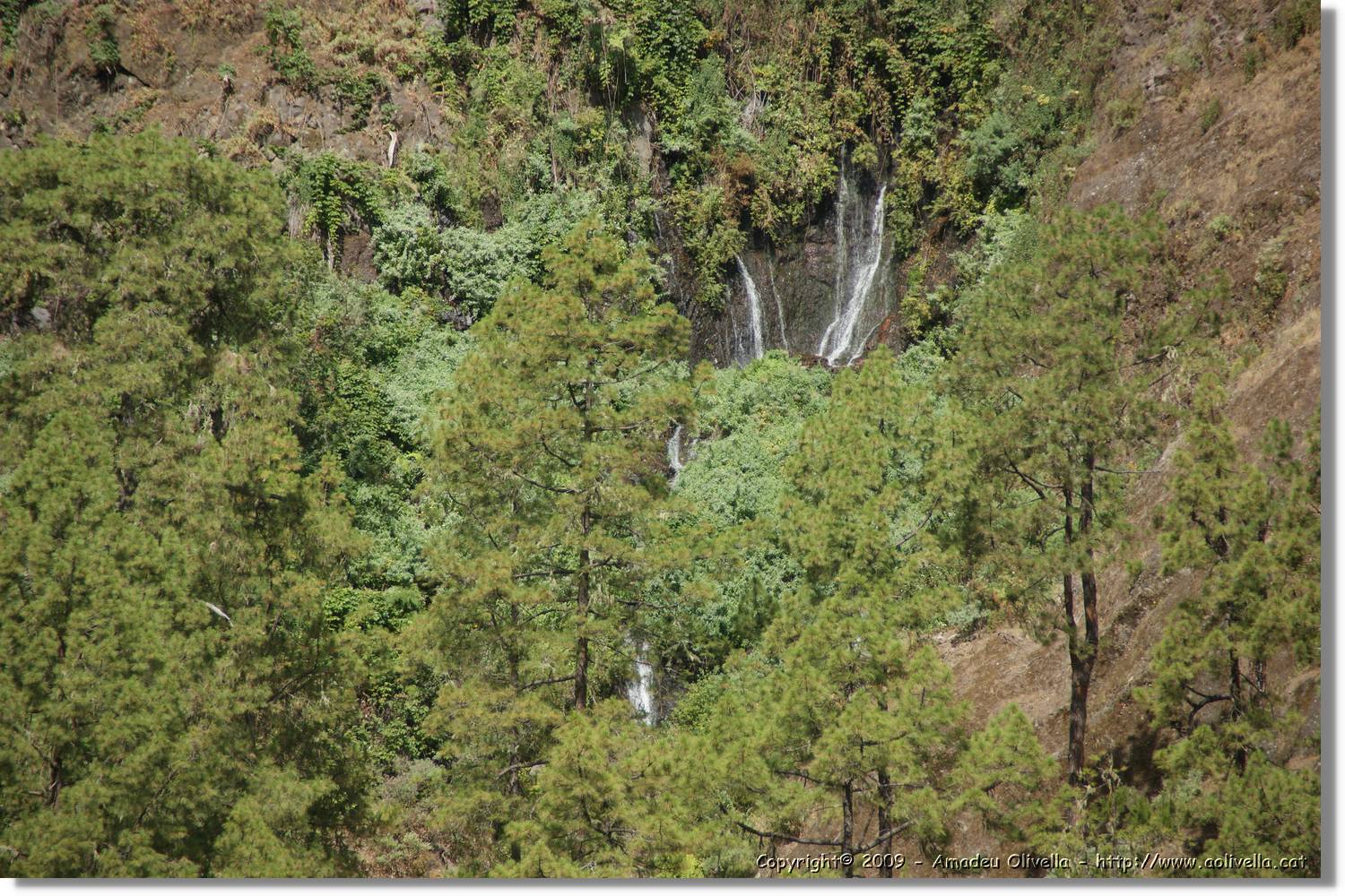 Nacientes_271.jpg