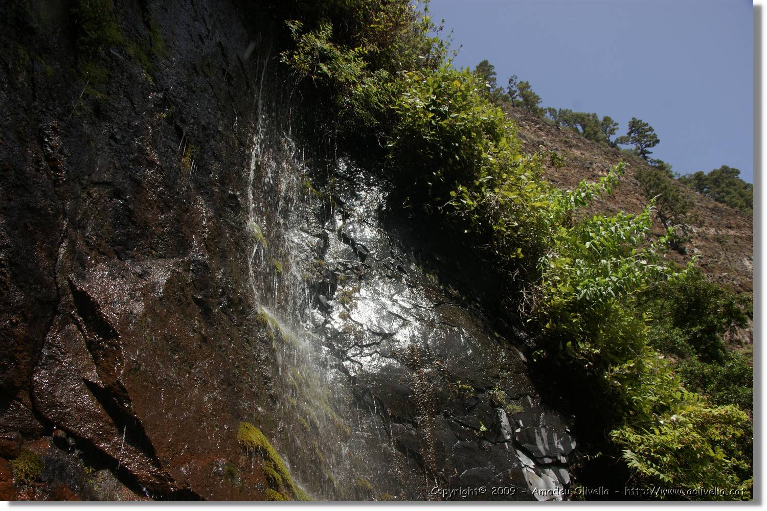 Nacientes_293.jpg