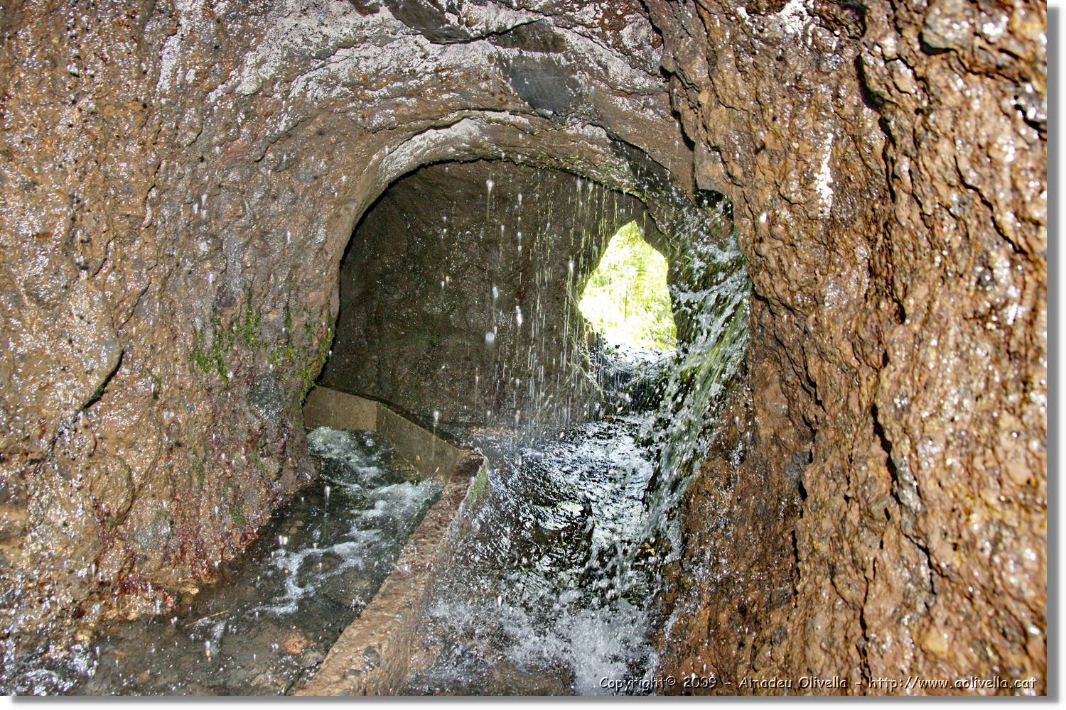 Nacientes_301.jpg