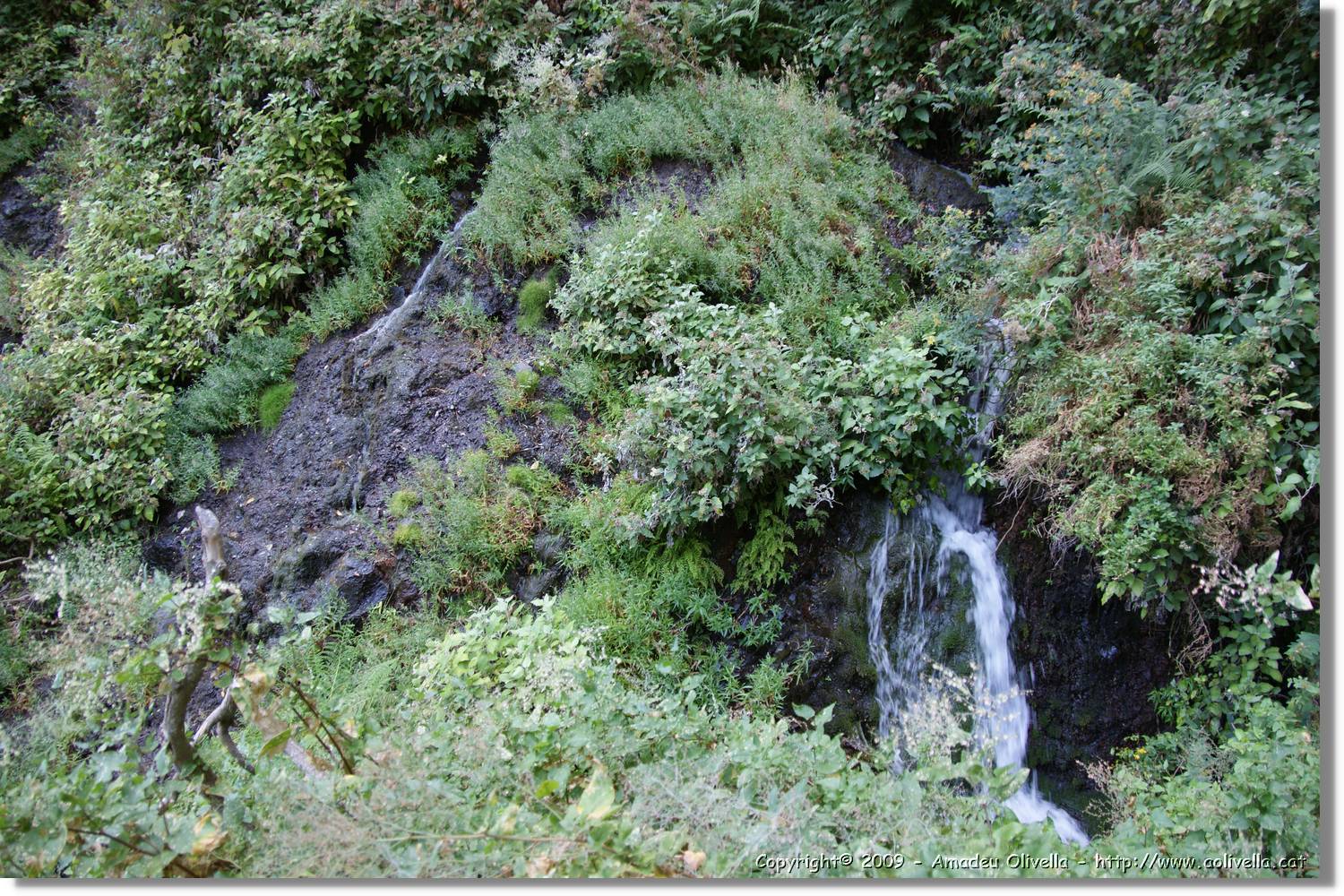 Nacientes_333.jpg