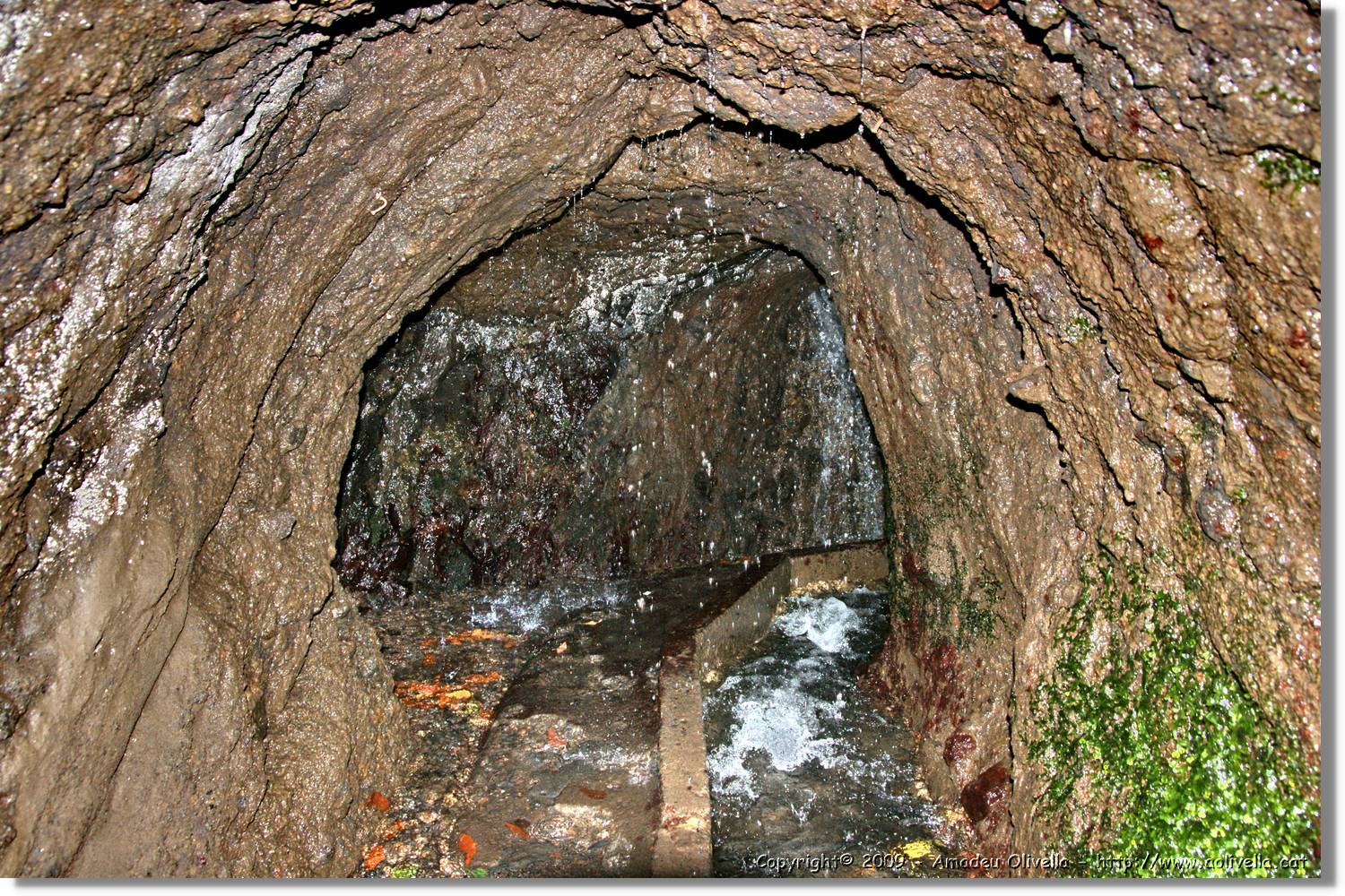 Nacientes_352.jpg