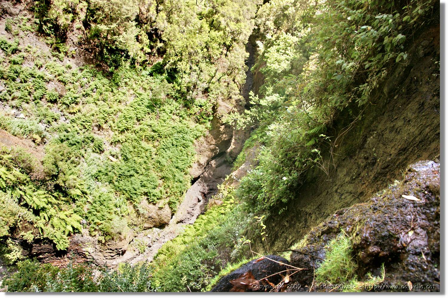 Nacientes_363.jpg