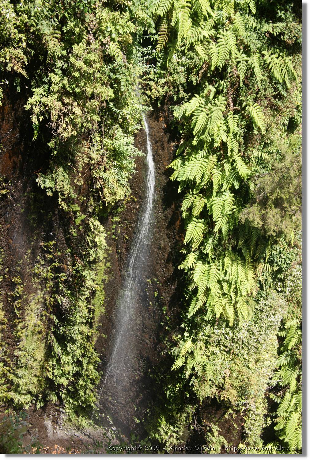 Nacientes_364.jpg