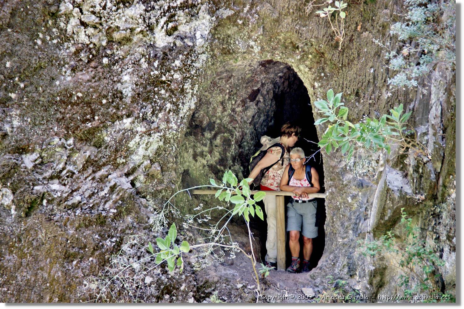 Nacientes_369.jpg
