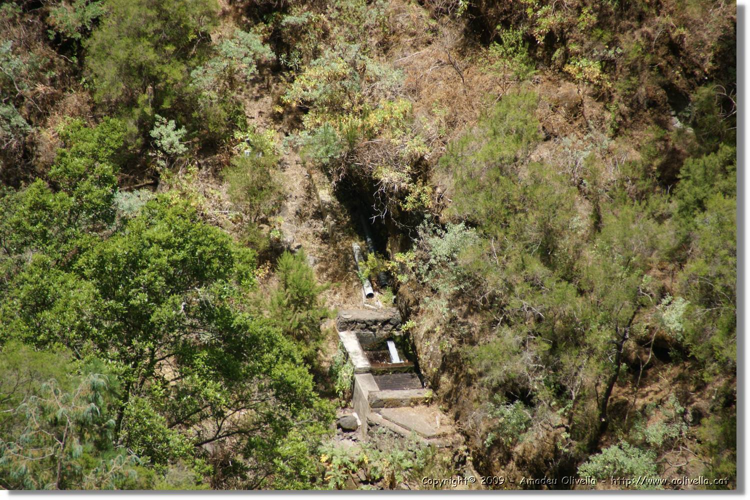 Nacientes_370.jpg