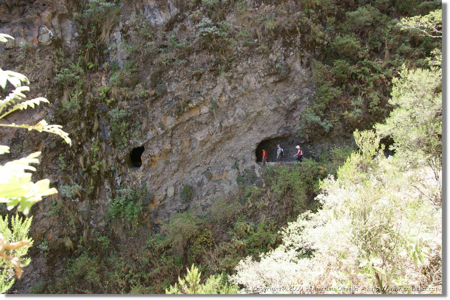Nacientes_375.jpg