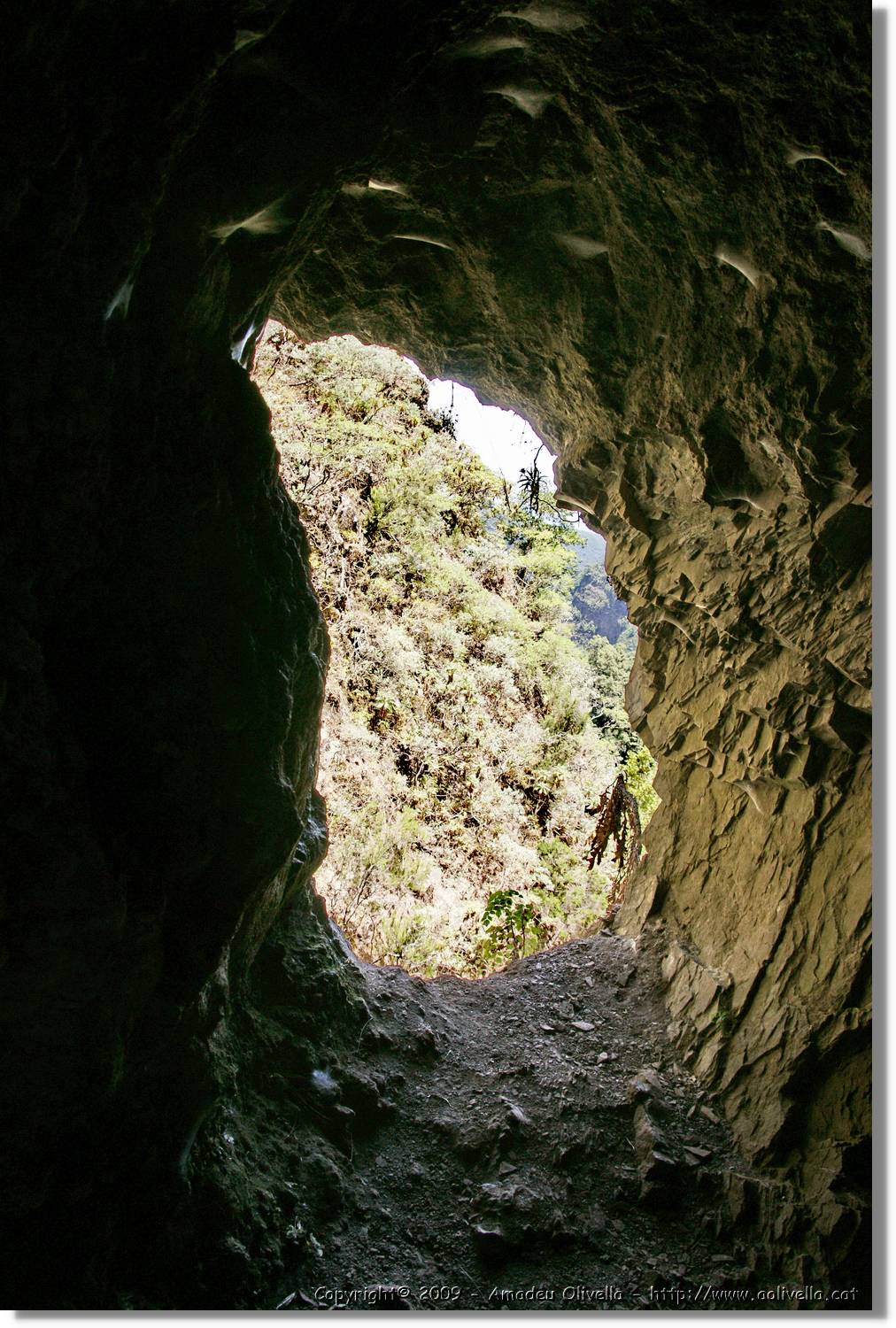 Nacientes_377.jpg