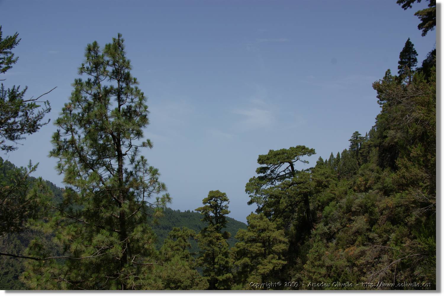 Nacientes_387.jpg