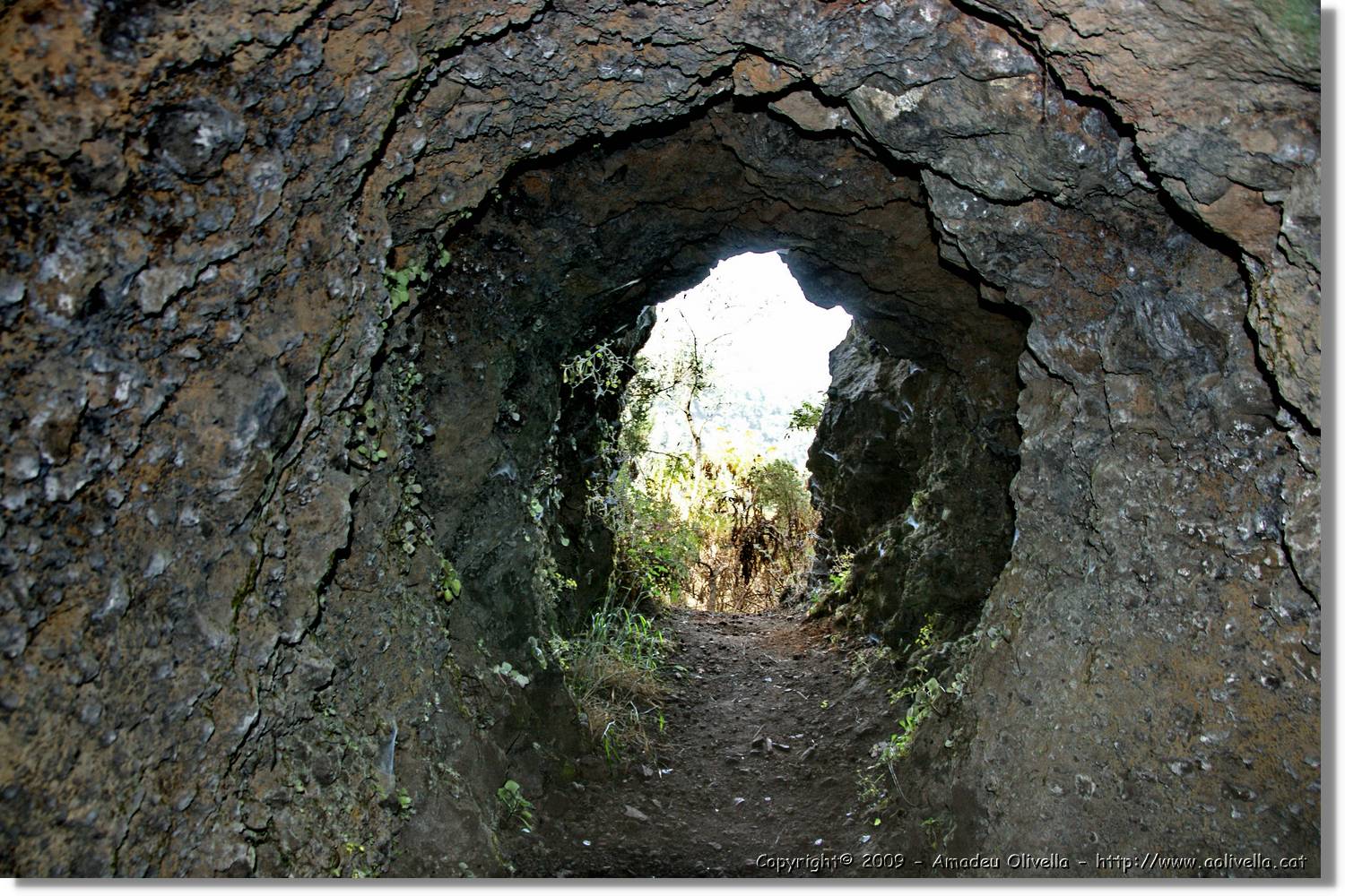 Nacientes_397.jpg
