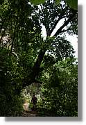 Nacientes_170.jpg