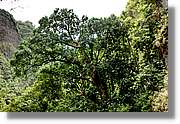 Nacientes_171.jpg