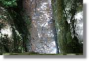 Nacientes_177.jpg