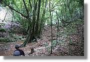 Nacientes_214.jpg