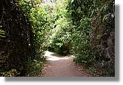 Nacientes_219.jpg