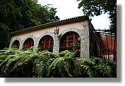 Nacientes_230.jpg
