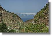 Nacientes_235.jpg