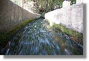 Nacientes_238.jpg