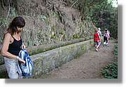 Nacientes_240.jpg