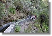 Nacientes_252.jpg