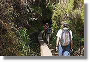 Nacientes_262.jpg