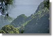 Nacientes_264.jpg