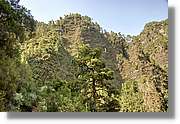 Nacientes_267.jpg