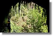 Nacientes_290.jpg