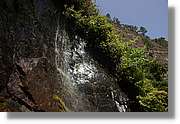 Nacientes_293.jpg