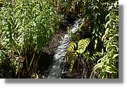 Nacientes_312.jpg