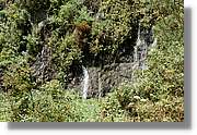Nacientes_317.jpg