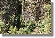 Nacientes_324.jpg
