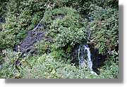 Nacientes_333.jpg