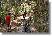 Nacientes_335.jpg