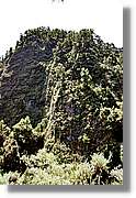 Nacientes_339.jpg