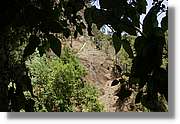 Nacientes_366.jpg