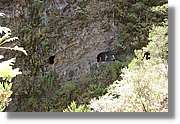 Nacientes_375.jpg