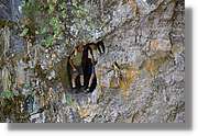 Nacientes_376.jpg