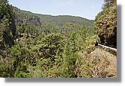 Nacientes_383.jpg
