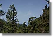 Nacientes_387.jpg