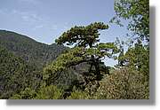 Nacientes_389.jpg