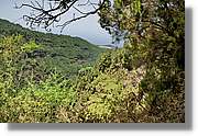 Nacientes_394.jpg